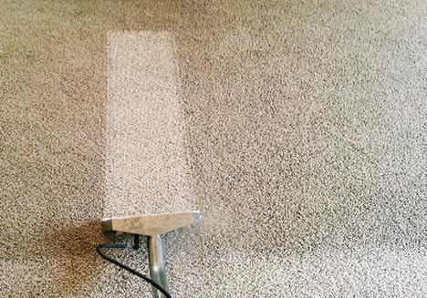 Carpet Spot Removal